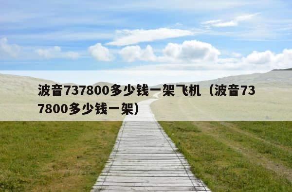波音737800多少钱一架飞机（波音737800多少钱一架） 第1张