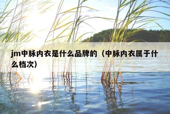 jm中脉内衣是什么品牌的（中脉内衣属于什么档次） 第1张