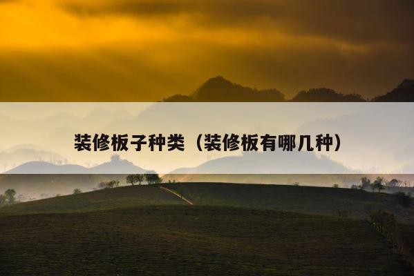 装修板子种类（装修板有哪几种） 第1张