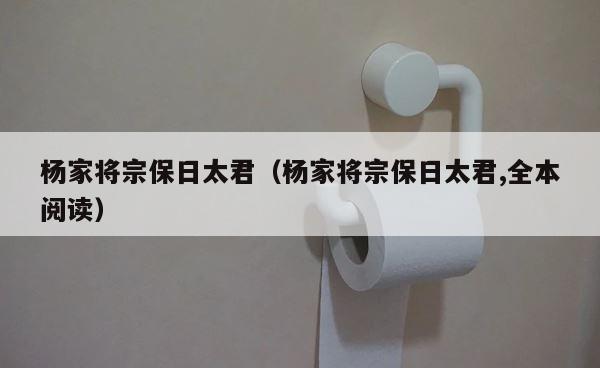 杨家将宗保日太君（杨家将宗保日太君,全本阅读） 第1张