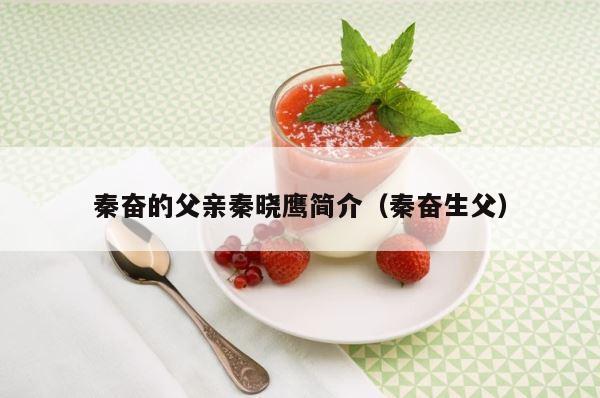 秦奋的父亲秦晓鹰简介（秦奋生父） 第1张