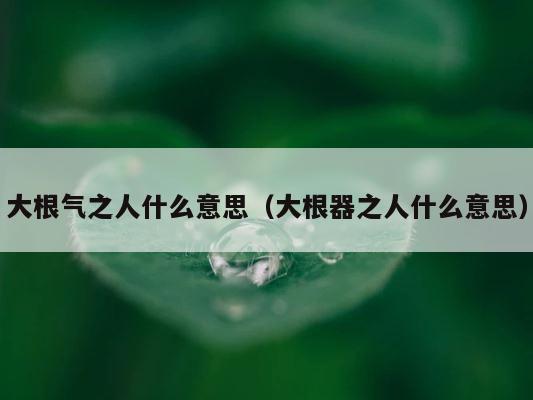 大根气之人什么意思（大根器之人什么意思） 第1张