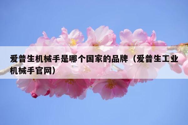 爱普生机械手是哪个国家的品牌（爱普生工业机械手官网） 第1张