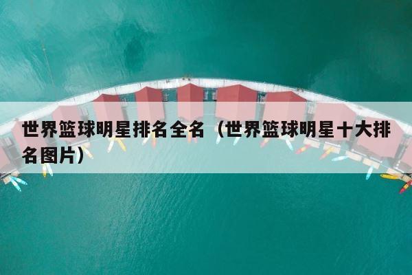 世界篮球明星排名全名（世界篮球明星十大排名图片） 第1张