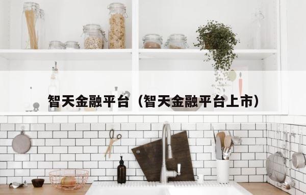 智天金融平台（智天金融平台上市） 第1张