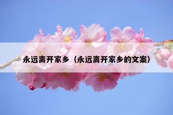 永远离开家乡（永远离开家乡的文案） 第1张