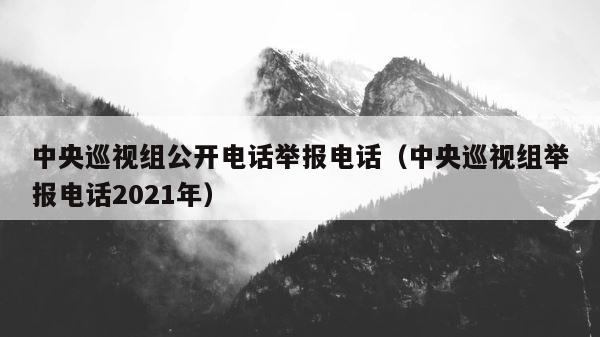 中央巡视组公开电话举报电话（中央巡视组举报电话2021年） 第1张