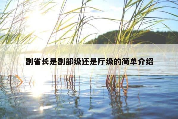 副省长是副部级还是厅级的简单介绍 第1张