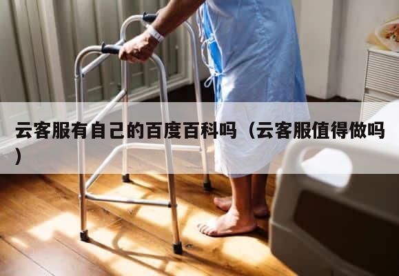 云客服有自己的百度百科吗（云客服值得做吗） 第1张
