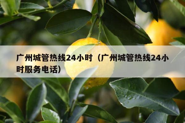 广州城管热线24小时（广州城管热线24小时服务电话） 第1张