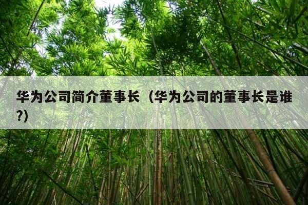 华为公司简介董事长（华为公司的董事长是谁?） 第1张