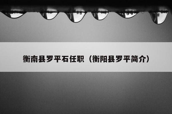 衡南县罗平石任职（衡阳县罗平简介） 第1张