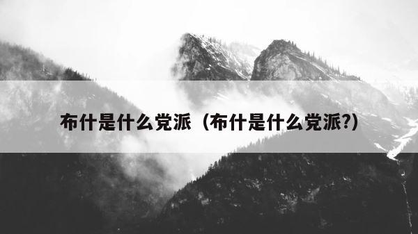 布什是什么党派（布什是什么党派?） 第1张