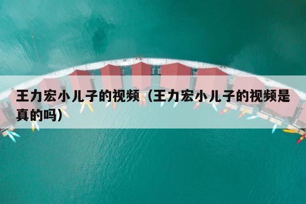 王力宏小儿子的视频（王力宏小儿子的视频是真的吗） 第1张