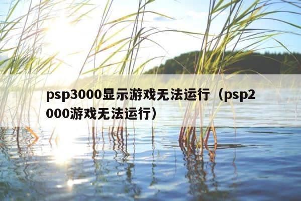 psp3000显示游戏无法运行（psp2000游戏无法运行） 第1张