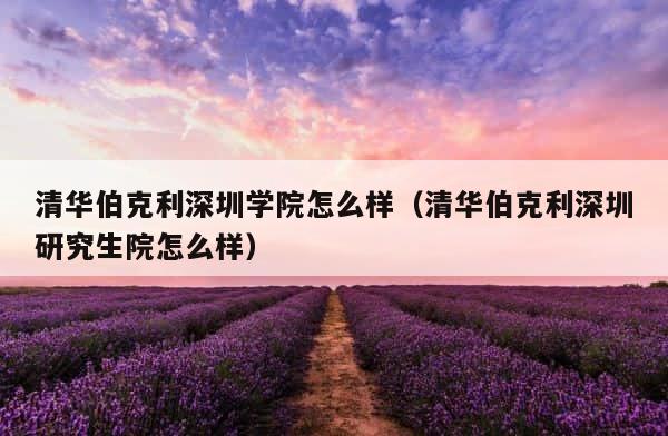 清华伯克利深圳学院怎么样（清华伯克利深圳研究生院怎么样） 第1张