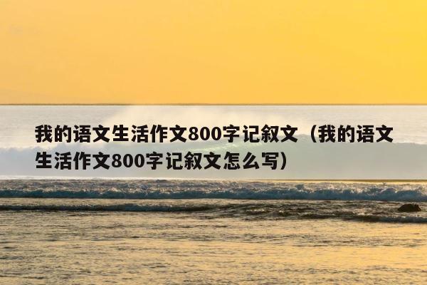 我的语文生活作文800字记叙文（我的语文生活作文800字记叙文怎么写） 第1张