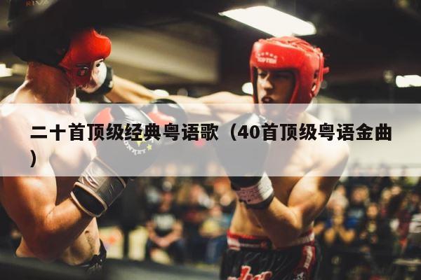 二十首顶级经典粤语歌（40首顶级粤语金曲） 第1张