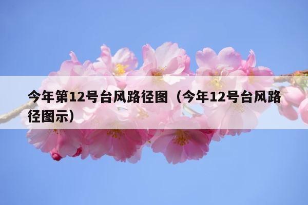 今年第12号台风路径图（今年12号台风路径图示） 第1张