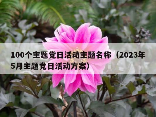 100个主题党日活动主题名称（2023年5月主题党日活动方案） 第1张
