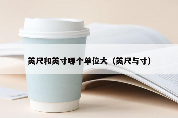英尺和英寸哪个单位大（英尺与寸） 第1张