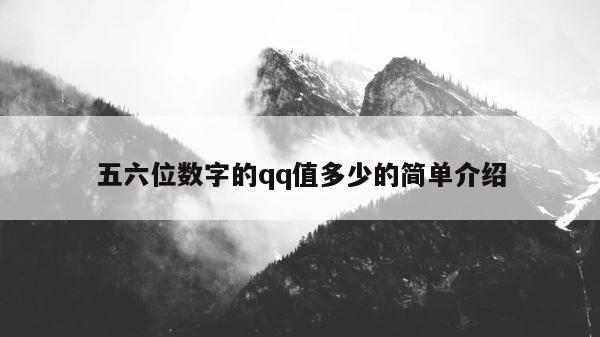五六位数字的qq值多少的简单介绍 第1张