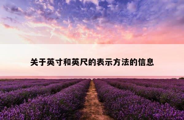 关于英寸和英尺的表示方法的信息 第1张