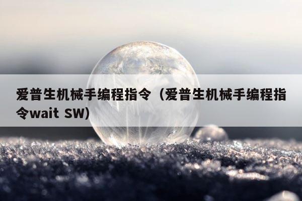 爱普生机械手编程指令（爱普生机械手编程指令wait SW） 第1张