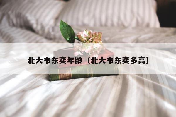 北大韦东奕年龄（北大韦东奕多高） 第1张