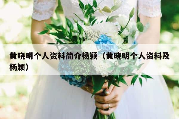 黄晓明个人资料简介杨颖（黄晓明个人资料及杨颖） 第1张