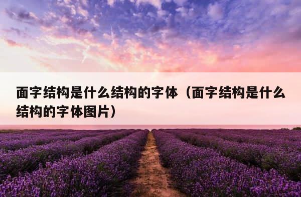面字结构是什么结构的字体（面字结构是什么结构的字体图片） 第1张