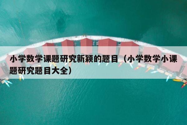 小学数学课题研究新颖的题目（小学数学小课题研究题目大全） 第1张