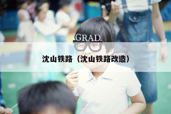沈山铁路（沈山铁路改造） 第1张