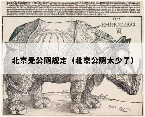 北京无公厕规定（北京公厕太少了） 第1张