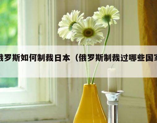 俄罗斯如何制裁日本（俄罗斯制裁过哪些国家） 第1张