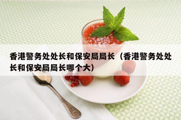香港警务处处长和保安局局长（香港警务处处长和保安局局长哪个大） 第1张