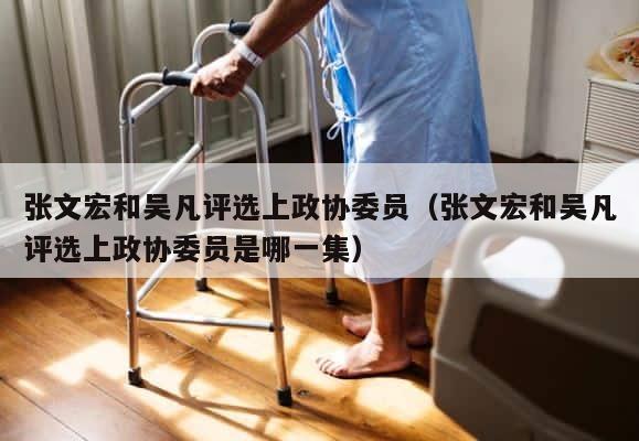 张文宏和吴凡评选上政协委员（张文宏和吴凡评选上政协委员是哪一集） 第1张