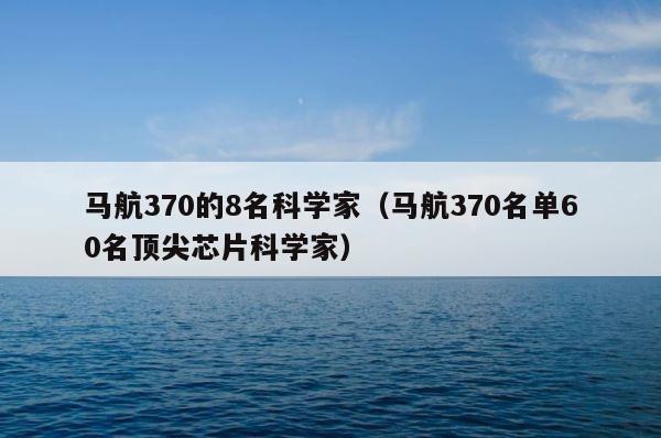 马航370的8名科学家（马航370名单60名顶尖芯片科学家） 第1张