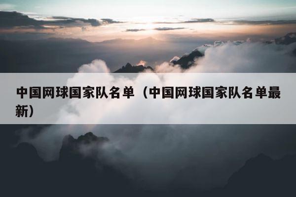 中国网球国家队名单（中国网球国家队名单最新） 第1张