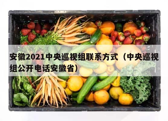 安徽2021中央巡视组联系方式（中央巡视组公开电话安徽省） 第1张