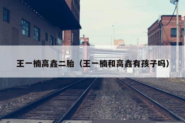王一楠高鑫二胎（王一楠和高鑫有孩子吗） 第1张