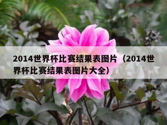 2014世界杯比赛结果表图片（2014世界杯比赛结果表图片大全） 第1张