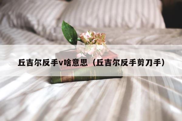 丘吉尔反手v啥意思（丘吉尔反手剪刀手） 第1张