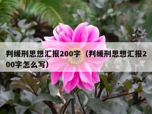 判缓刑思想汇报200字（判缓刑思想汇报200字怎么写） 第1张