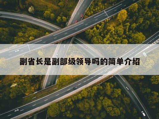 副省长是副部级领导吗的简单介绍 第1张