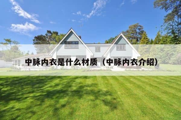 中脉内衣是什么材质（中脉内衣介绍） 第1张