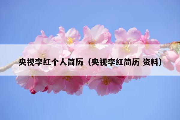 央视李红个人简历（央视李红简历 资料） 第1张