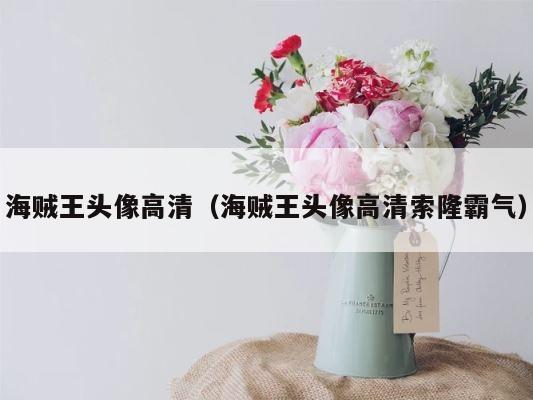 海贼王头像高清（海贼王头像高清索隆霸气） 第1张