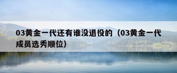 03黄金一代还有谁没退役的（03黄金一代成员选秀顺位） 第1张