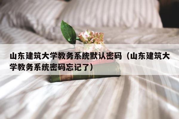 山东建筑大学教务系统默认密码（山东建筑大学教务系统密码忘记了） 第1张